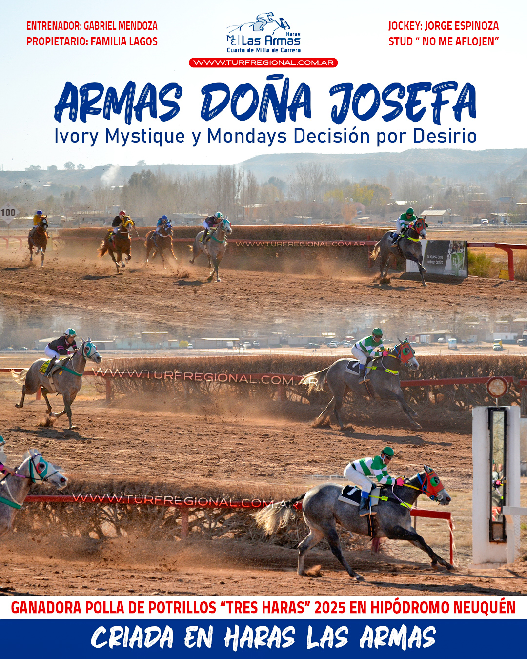 Armas Doña Josefa