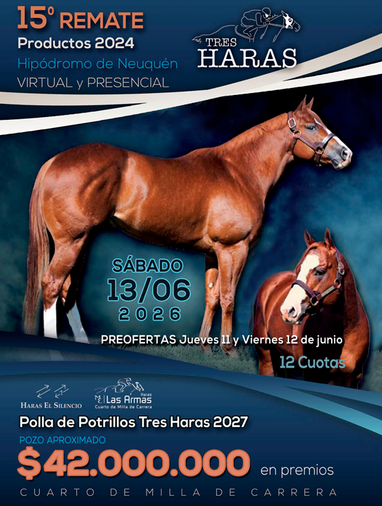 Remate en Neuquen. 2026